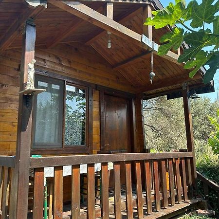 Olimpos Bungalov Apart Aparthotel Balikliova Bagian luar foto