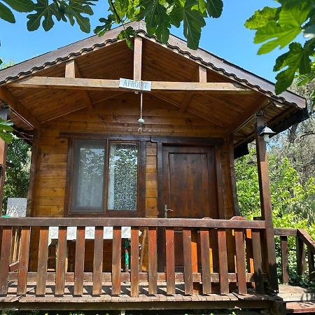 Olimpos Bungalov Apart Aparthotel Balikliova Bagian luar foto
