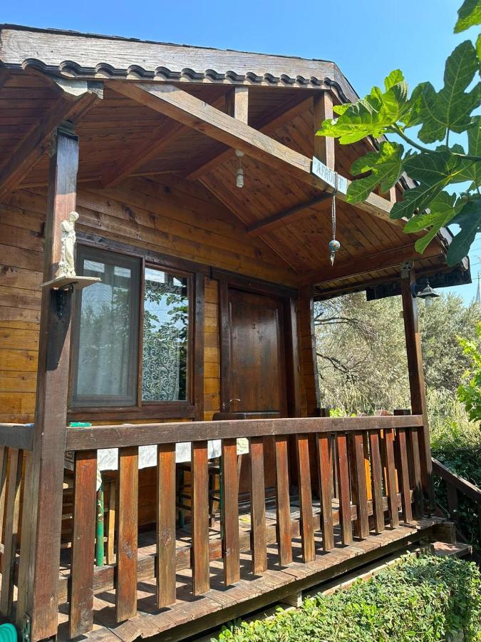 Olimpos Bungalov Apart Aparthotel Balikliova Bagian luar foto